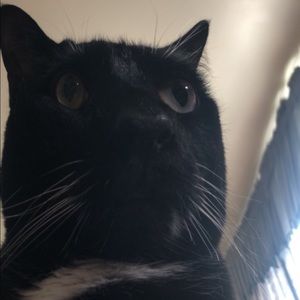 Meet your Posher, Becca